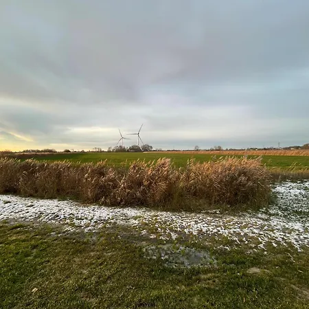 Gulfhof Wangermeer 2 Tilda Hohenkirchen (Wangerland)