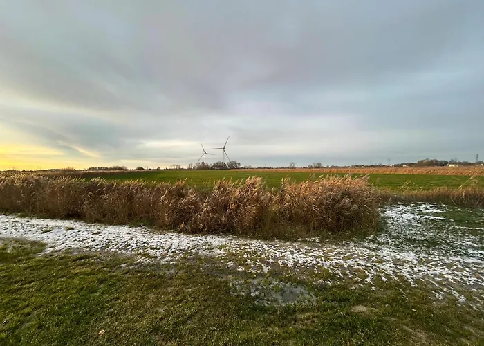 Gulfhof Wangermeer 2 Tilda Hohenkirchen (Wangerland)
